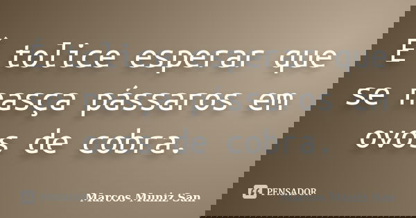 É tolice esperar que se nasça pássaros em ovos de cobra.... Frase de Marcos Muniz San.