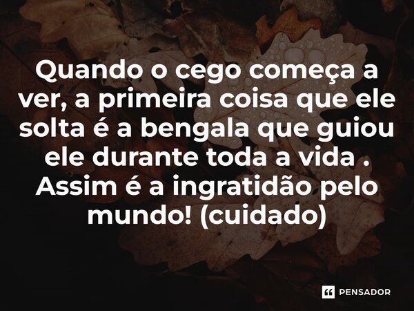 ⁠Quando o cego começa a ver, a primeira coisa que ele solta é a bengala que guiou ele durante toda a vida . Assim é a ingratidão pelo mundo! (cuidado)