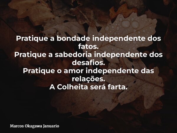 Pratique a bondade independente dos fatos. Pratique a sabedoria independente dos desafios. Pratique o amor independente das relações. A Colheita será farta.... Frase de Marcos Okagawa Januario.