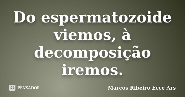 Do espermatozoide viemos, à decomposição iremos.... Frase de Marcos Ribeiro Ecce Ars.