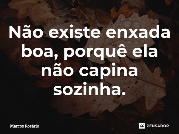 Não existe enxada boa, porquê ela não capina sozinha.⁠... Frase de Marcos Rosário.