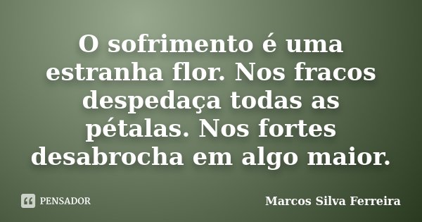 O sofrimento é uma estranha flor. Nos fracos despedaça todas as pétalas. Nos fortes desabrocha em algo maior.... Frase de Marcos Silva Ferreira.