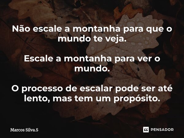 ⁠Não escale a montanha para que o mundo te veja. Escale a montanha para ver o mundo. O processo de escalar pode ser até lento, mas tem um propósito.... Frase de Marcos Silva.S.