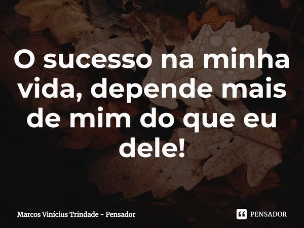 ⁠O sucesso na minha vida, depende mais de mim do que eu dele!... Frase de Marcos Vinícius Trindade - Pensador.