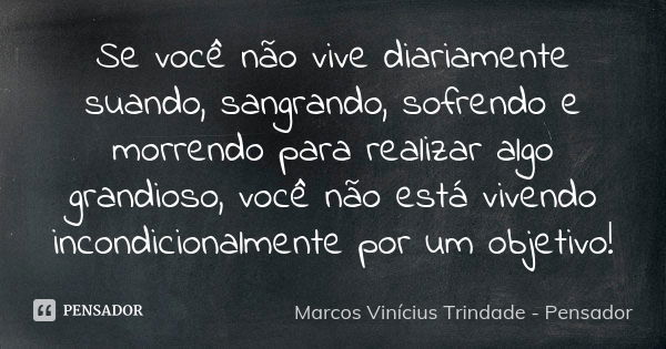 Se você não vive diariamente suando, sangrando, sofrendo e morrendo para realizar algo grandioso, você não está vivendo incondicionalmente por um objetivo!... Frase de Marcos Vinícius Trindade - Pensador.