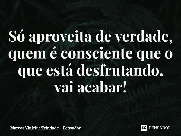 ⁠Só aproveita de verdade, quem é consciente que o que está desfrutando, vai acabar!... Frase de Marcos Vinícius Trindade - Pensador.