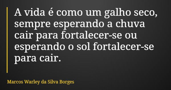 A vida é como um galho seco, sempre esperando a chuva cair para fortalecer-se ou esperando o sol fortalecer-se para cair.... Frase de Marcos Warley da Silva Borges.