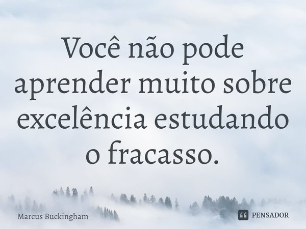 ⁠Você não pode aprender muito sobre excelência estudando o fracasso.... Frase de Marcus Buckingham.