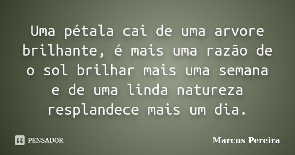 Uma pétala cai de uma arvore brilhante, é mais uma razão de o sol brilhar mais uma semana e de uma linda natureza resplandece mais um dia.... Frase de Marcus Pereira.