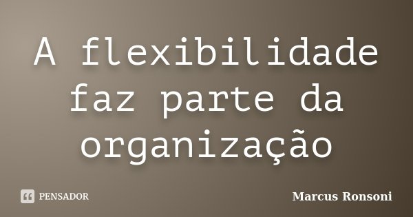 A flexibilidade faz parte da organização... Frase de Marcus Ronsoni.