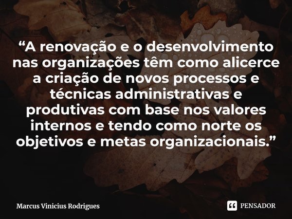 ⁠“A renovação e o desenvolvimento nas organizações têm como alicerce a criação de novos processos e técnicas administrativas e produtivas com base nos valores i... Frase de Marcus Vinicius Rodrigues.
