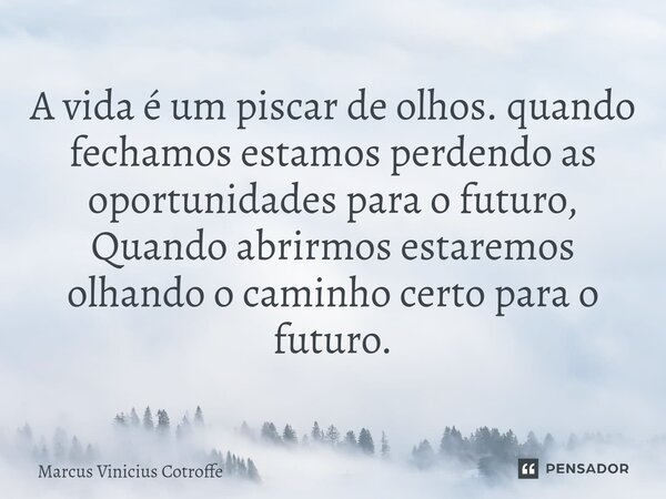 ⁠A vida é um piscar de olhos. quando fechamos estamos perdendo as oportunidades para o futuro, Quando abrirmos estaremos olhando o caminho certo para o futuro.... Frase de Marcus Vinicius Cotroffe.