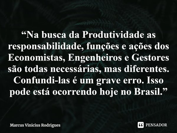 ⁠“Na busca da Produtividade as responsabilidade, funções e ações dos Economistas, Engenheiros e Gestores são todas necessárias, mas diferentes. Confundi-las é u... Frase de Marcus Vinicius Rodrigues.