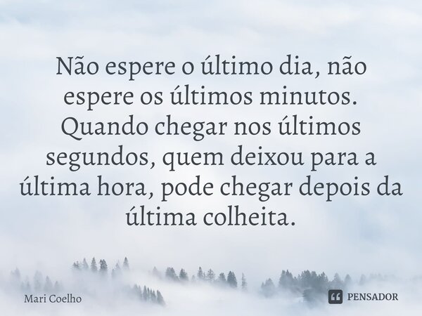 ⁠Não espere o último dia, não espere os últimos minutos. Quando chegar nos últimos segundos, quem deixou para a última hora, pode chegar depois da última colhei... Frase de Mari Coelho.