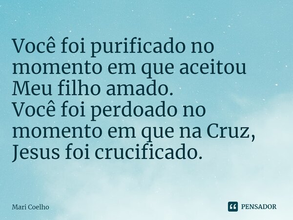 ⁠Você foi purificado no momento em que aceitou Meu filho amado. Você foi perdoado no momento em que na Cruz, Jesus foi crucificado.... Frase de Mari Coelho.