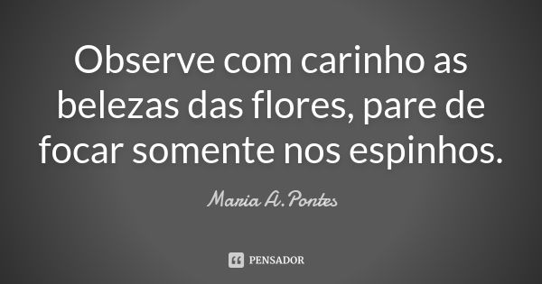 Observe com carinho as belezas das flores, pare de focar somente nos espinhos.... Frase de Maria A. Pontes.