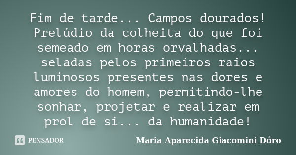 Fim de tarde... Campos dourados! Prelúdio da colheita do que foi semeado em horas orvalhadas... seladas pelos primeiros raios luminosos presentes nas dores e am... Frase de Maria Aparecida Giacomini Dóro.