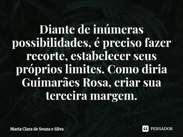 ⁠Diante de inúmeras possibilidades, é preciso fazer recorte, estabelecer seus próprios limites. Como diria Guimarães Rosa, criar sua terceira margem.... Frase de Maria Clara de Souza e Silva.