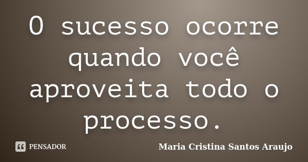 O sucesso ocorre quando você aproveita todo o processo.... Frase de Maria Cristina Santos Araujo.