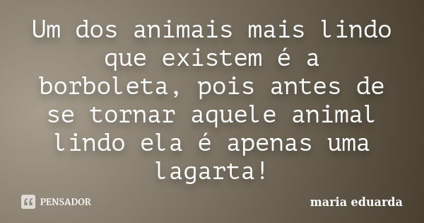 Um dos animais mais lindo que existem é a borboleta, pois antes de se tornar aquele animal lindo ela é apenas uma lagarta!... Frase de Maria Eduarda.