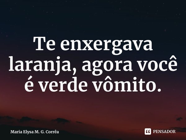 ⁠Te enxergava laranja, agora você é verde vômito.... Frase de Maria Elysa M. G. Corrêa.