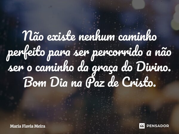 ⁠Não existe nenhum caminho perfeito para ser percorrido a não ser o caminho da graça do Divino. Bom Dia na Paz de Cristo.... Frase de Maria Flavia Meira.
