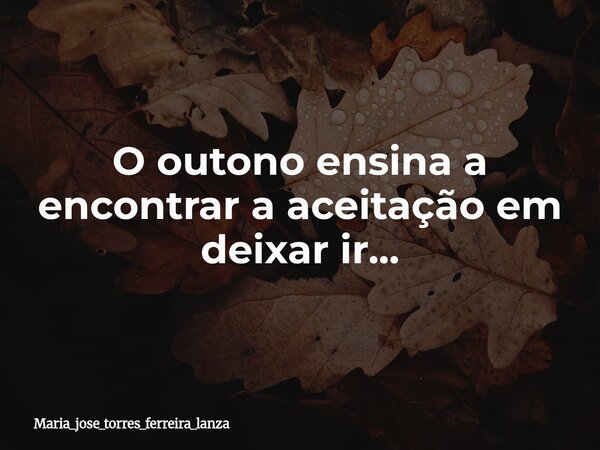 O outono ensina a encontrar a aceitação em deixar ir...... Frase de maria_jose_torres_ferreira_lanza.