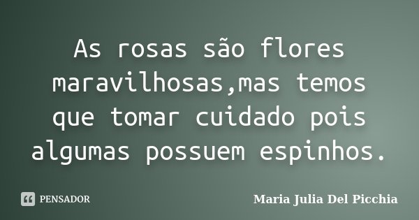As rosas são flores maravilhosas,mas temos que tomar cuidado pois algumas possuem espinhos.... Frase de Maria Julia Del Picchia.