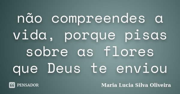 não compreendes a vida, porque pisas sobre as flores que Deus te enviou... Frase de Maria Lúcia Silva Oliveira.