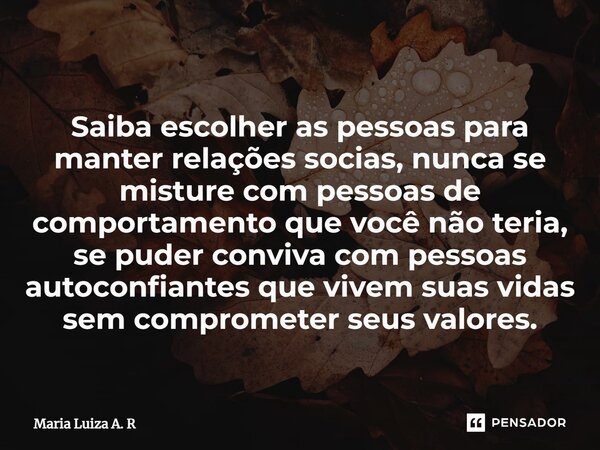 ⁠Saiba escolher as pessoas para manter relações socias, nunca se misture com pessoas de comportamento que você não teria, se puder conviva com pessoas autoconfi... Frase de Maria Luiza A. R.