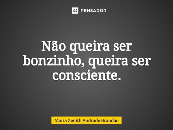 ⁠Não queira ser bonzinho, queira ser consciente.... Frase de Maria Zenith Andrade Brandão.
