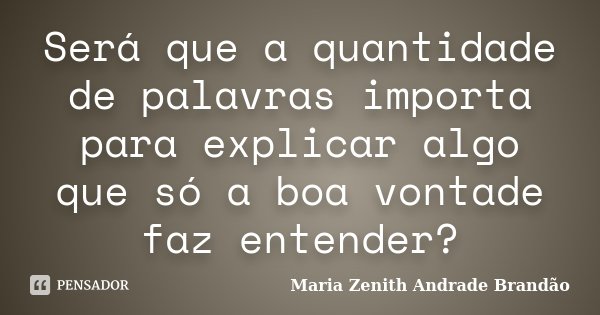 Será que a quantidade de palavras importa para explicar algo que só a boa vontade faz entender?... Frase de Maria Zenith Andrade Brandão.