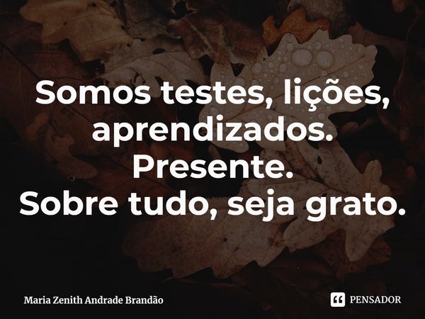 ⁠Somos testes, lições, aprendizados. Presente.
Sobre tudo, seja grato.... Frase de Maria Zenith Andrade Brandão.