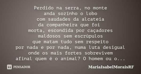 Perdido na serra, no monte anda sozinho o lobo com saudades da alcateia da companheira que foi morta, escondida por caçadores maldosos sem escrúpulos que matam ... Frase de MariaIsabelMoraisRF.