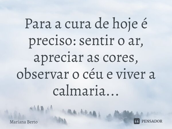 ⁠Para a cura de hoje é preciso: sentir o ar, apreciar as cores, observar o céu e viver a calmaria...... Frase de Mariana Berto.