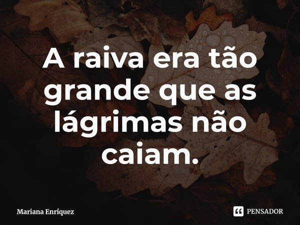 ⁠A raiva era tão grande que as lágrimas não caiam.... Frase de Mariana Enríquez.