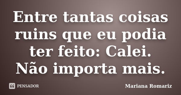 Entre tantas coisas ruins que eu podia ter feito: Calei. Não importa mais.... Frase de Mariana Romariz.