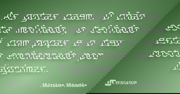 As gotas caem. O chão esta molhado, o telhado está com poças e o teu rosto encharcado por lágrimas.... Frase de Mariane Mendes.