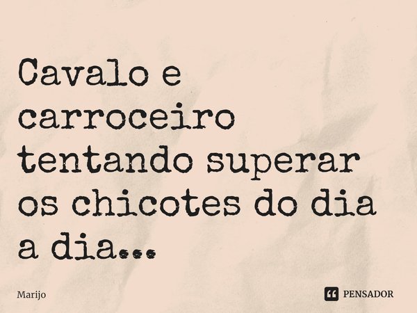 ⁠Cavalo e carroceiro tentando superar os chicotes do dia a dia...... Frase de Marijo.