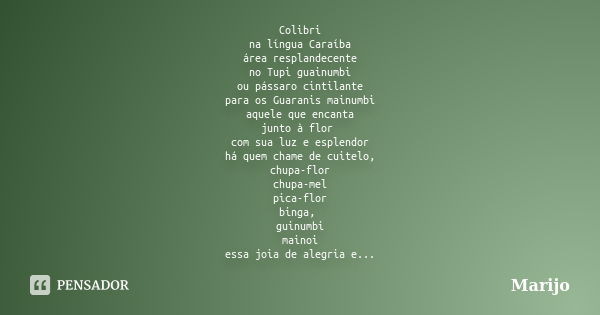 Colibri na língua Caraíba área resplandecente no Tupi guainumbi ou pássaro cintilante para os Guaranis mainumbi aquele que encanta junto à flor com sua luz e es... Frase de marijo.