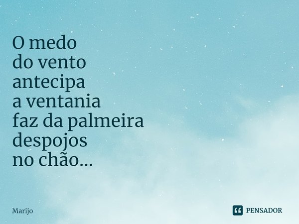 ⁠O medo
do vento
antecipa
a ventania
faz da palmeira
despojos
no chão...... Frase de Marijo.