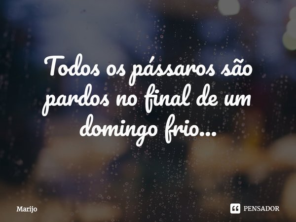 ⁠Todos os pássaros são pardos no final de um domingo frio...... Frase de Marijo.