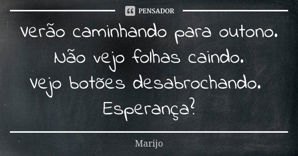 Verão caminhando para outono. Não vejo folhas caindo. Vejo botões desabrochando. Esperança?... Frase de Marijo.