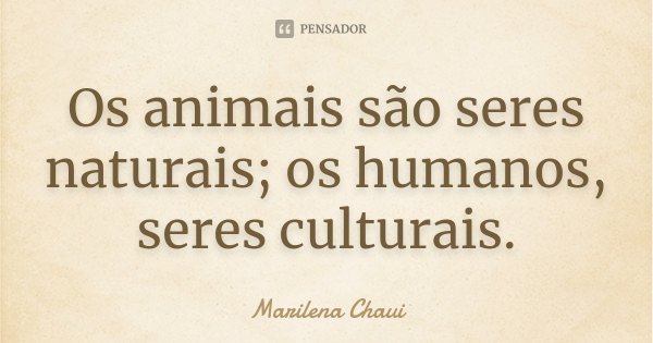 Os animais são seres naturais; os humanos, seres culturais.... Frase de Marilena Chauí.