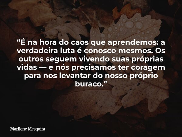 “É na hora do caos que aprendemos: a verdadeira luta é conosco mesmos. Os outros seguem vivendo suas próprias vidas — e nós precisamos ter coragem para nos leva... Frase de Marilene Mesquita.