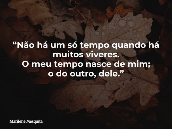 “Não há um só tempo quando há muitos viveres. O meu tempo nasce de mim; o do outro, dele.”... Frase de Marilene Mesquita.