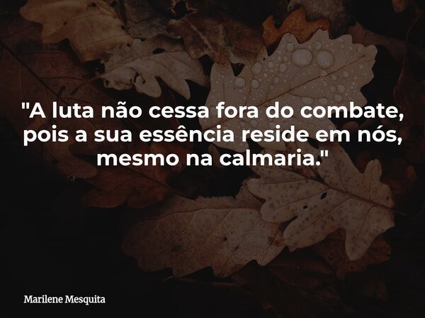 ​"A luta não cessa fora do combate, pois a sua essência reside em nós, mesmo na calmaria." ​... Frase de Marilene Mesquita.
