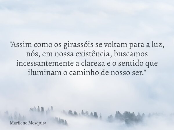 ​"Assim como os girassóis se voltam para a luz, nós, em nossa existência, buscamos incessantemente a clareza e o sentido que iluminam o caminho de nosso se... Frase de Marilene Mesquita.