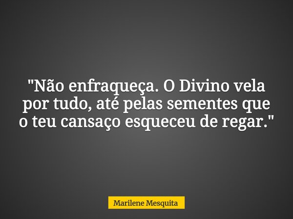 "Não enfraqueça. O Divino vela por tudo, até pelas sementes que o teu cansaço esqueceu de regar."... Frase de Marilene Mesquita.