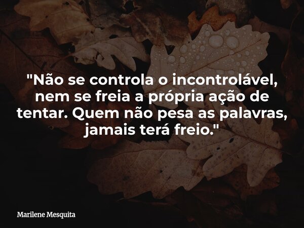 "Não se controla o incontrolável, nem se freia a própria ação de tentar. Quem não pesa as palavras, jamais terá freio."... Frase de Marilene Mesquita.